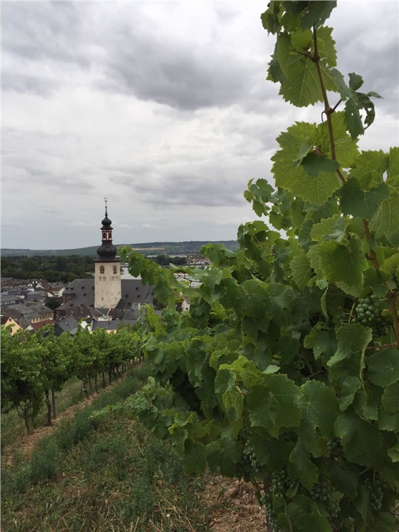余教授德國鄉村行：浪漫萊茵河自駕游，用手機隨手拍一組系列照片