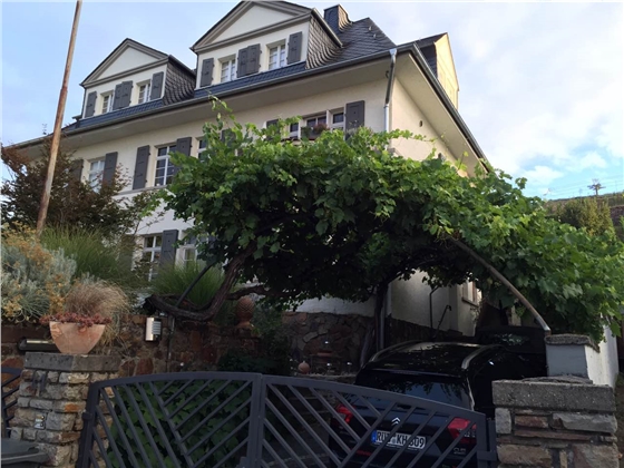 余教授德國鄉村行：浪漫萊茵河自駕游，用手機隨手拍一組系列照片