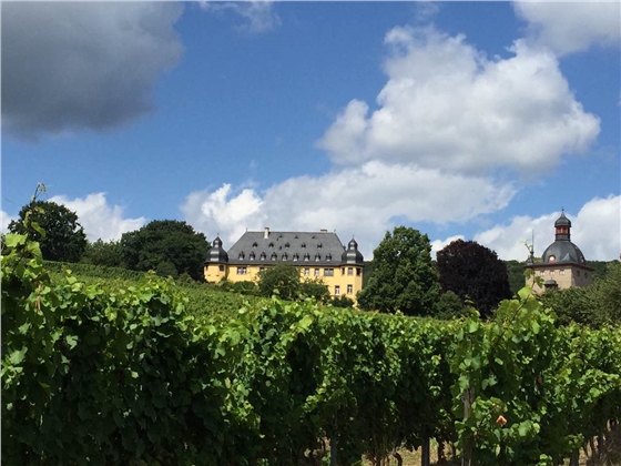 余教授德國鄉村行：浪漫萊茵河自駕游，用手機隨手拍一組系列照片