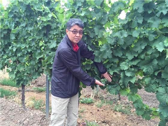 余教授德國鄉村行：浪漫萊茵河自駕游，用手機隨手拍一組系列照片