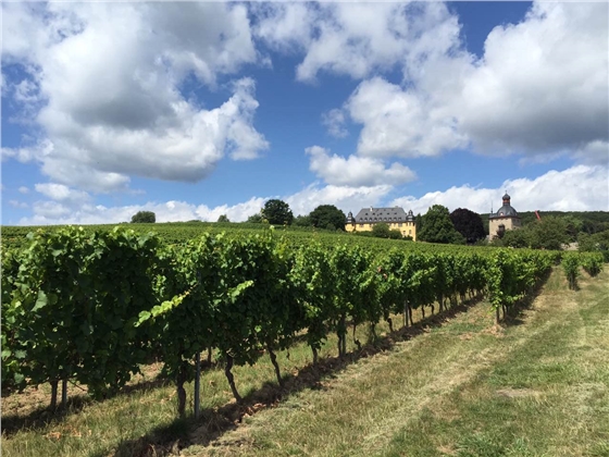 余教授德國鄉村行：浪漫萊茵河自駕游，用手機隨手拍一組系列照片
