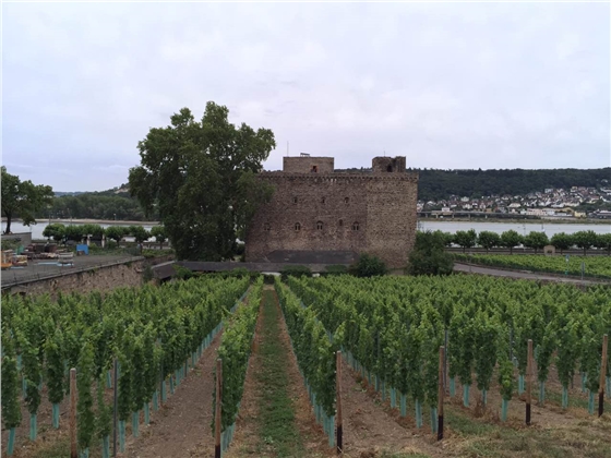 余教授德國鄉村行：浪漫萊茵河自駕游，用手機隨手拍一組系列照片