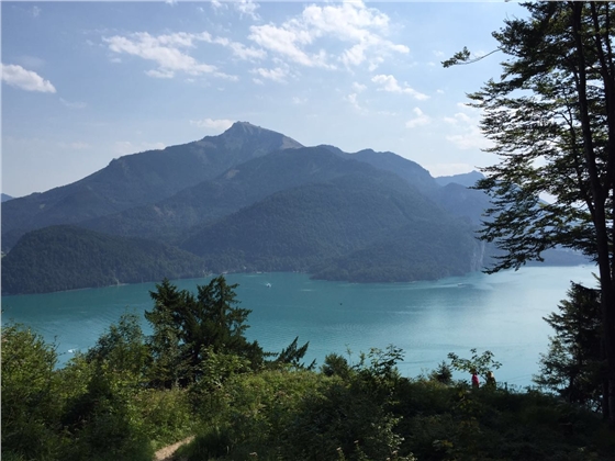 余教授奧地利鄉村行：萬(wàn)科為什么說(shuō)把奧地利小鎮搬回來(lái)？