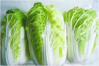 #微肥課堂#白菜類(lèi)蔬菜對哪些營(yíng)養元素敏感？