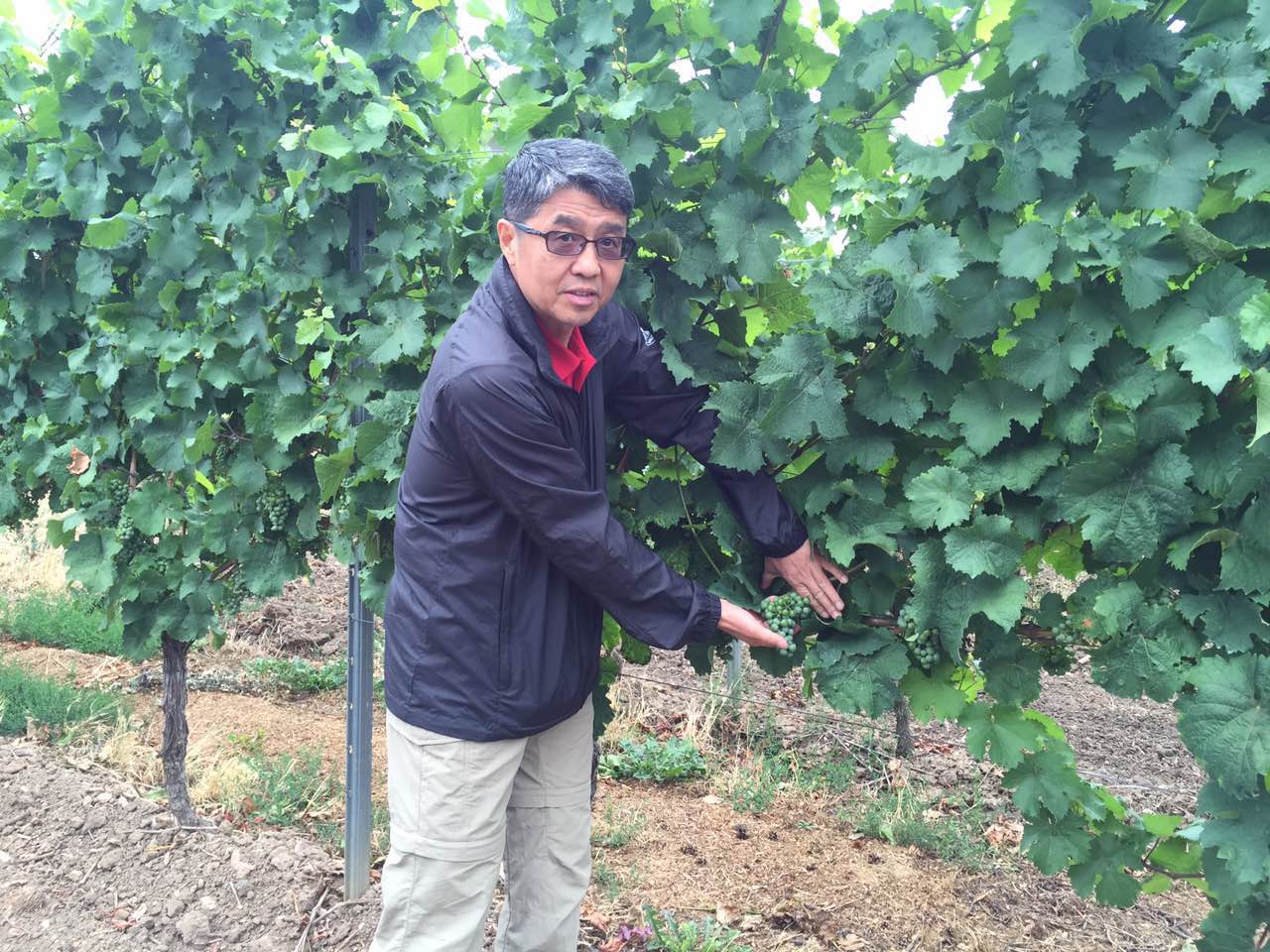 余教授德國鄉村行：浪漫萊茵河自駕游，用手機隨手拍一組系列照片