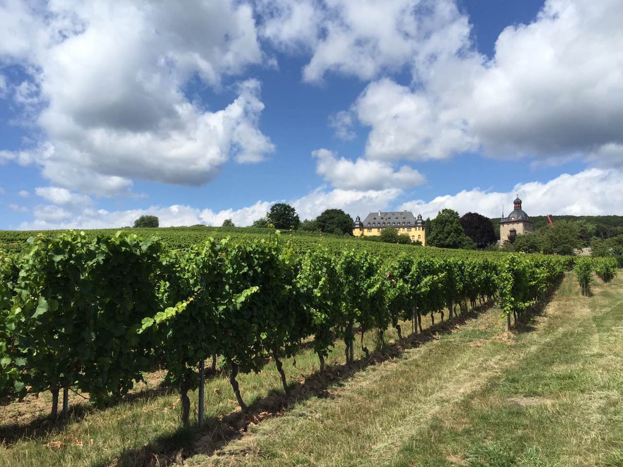 余教授德國鄉村行：浪漫萊茵河自駕游，用手機隨手拍一組系列照片