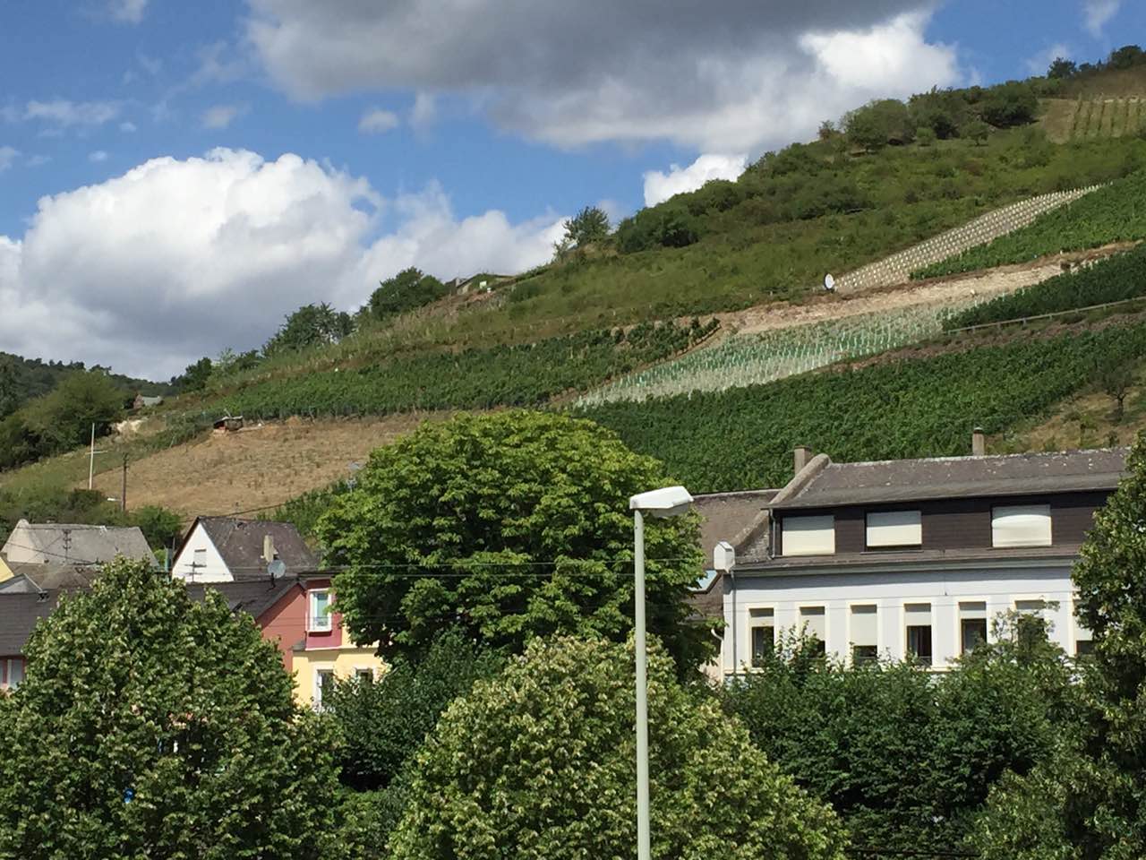 余教授德國鄉村行：浪漫萊茵河自駕游，用手機隨手拍一組系列照片