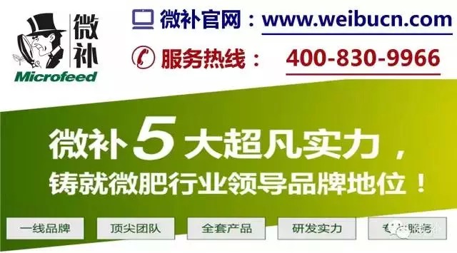 余教授奧地利鄉村行：萬(wàn)科為什么說(shuō)把奧地利小鎮搬回來(lái)？