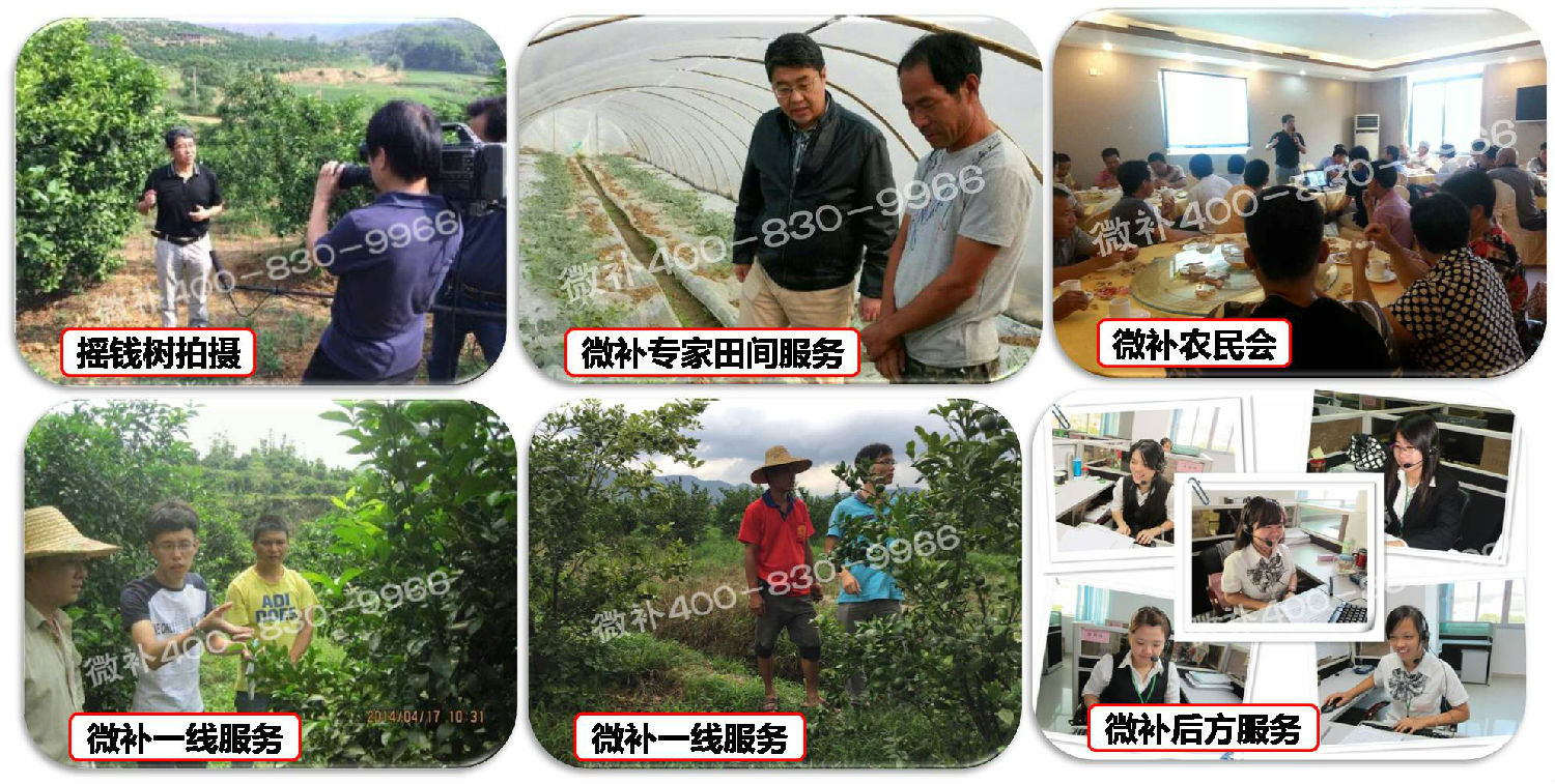 【余教授奧地利鄉村行:音樂(lè )之聲把游客帶到了薩爾斯堡】 【余教授奧地利鄉村行:音樂(lè )之聲把游客帶到了薩爾斯堡】