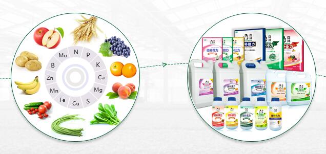 品牌那么多，如何選擇優(yōu)質(zhì)葉面肥？