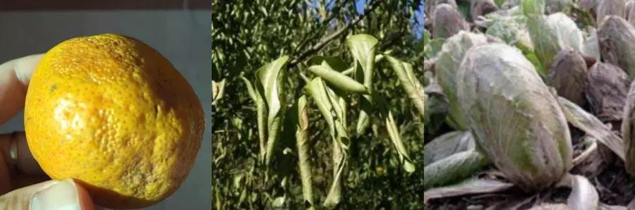 微信圖片_20200103144228.jpg 微信圖片_20200103144228.jpg