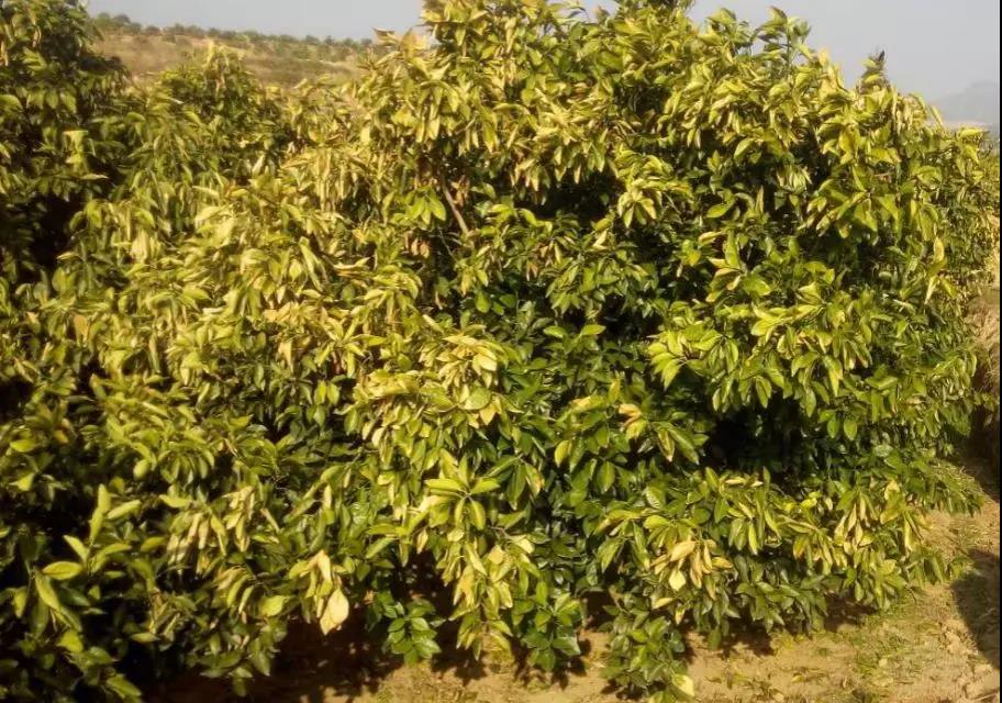 微信圖片_20200103144304.jpg 微信圖片_20200103144304.jpg