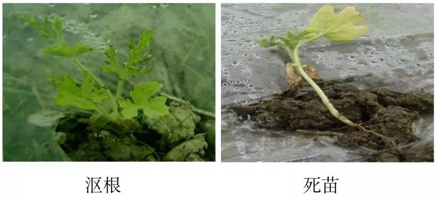 微信圖片_20200206085739.jpg 微信圖片_20200206085739.jpg