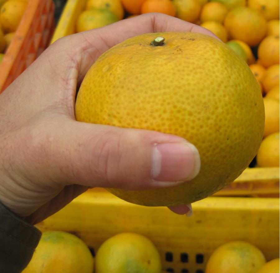 優(yōu)質(zhì)果 優(yōu)質(zhì)果