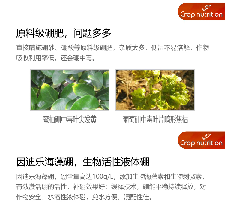 因迪樂(lè )有機海藻硼_02.jpg 因迪樂(lè )有機海藻硼_02.jpg