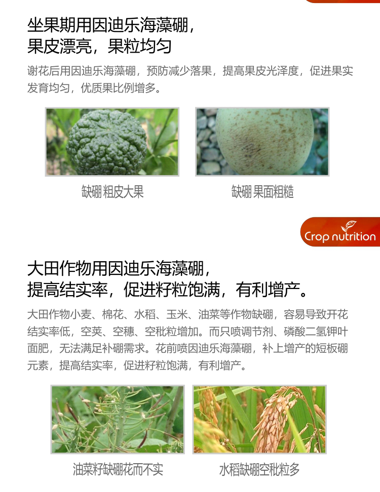 因迪樂(lè )有機海藻硼_04.jpg 因迪樂(lè )有機海藻硼_04.jpg