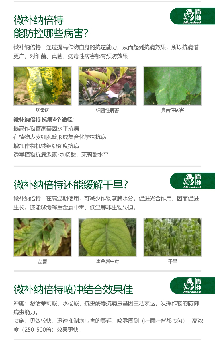 微補RBI納米助劑9_04.jpg 微補RBI納米助劑9_04.jpg