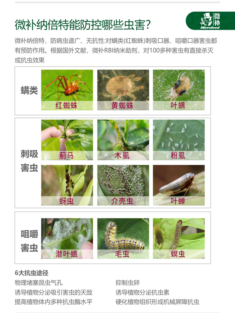 微補RBI納米助劑9_03.jpg 微補RBI納米助劑9_03.jpg