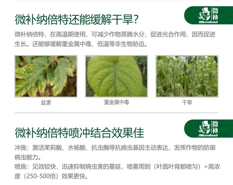 微補RBI納米助劑9_05.jpg 微補RBI納米助劑9_05.jpg