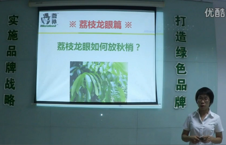 荔枝龍眼-采后樹(shù)弱、秋梢不壯怎么辦？請看微補講座