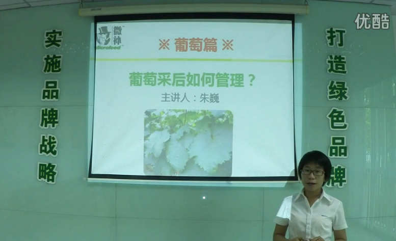 葡萄-采后恢復樹(shù)勢、來(lái)年花芽分化好.微補講座