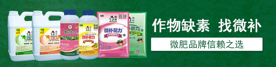 葉面肥廠(chǎng)家 葉面肥廠(chǎng)家