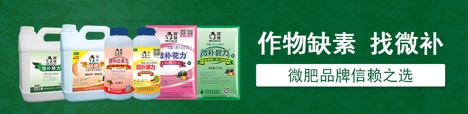 葉面肥廠(chǎng)家 葉面肥廠(chǎng)家