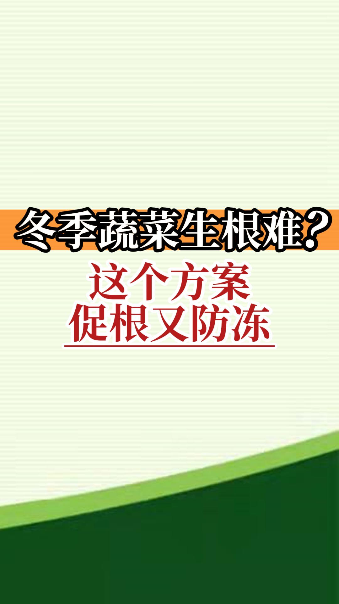 冬季蔬菜生根難？這個(gè)方案促根又防凍