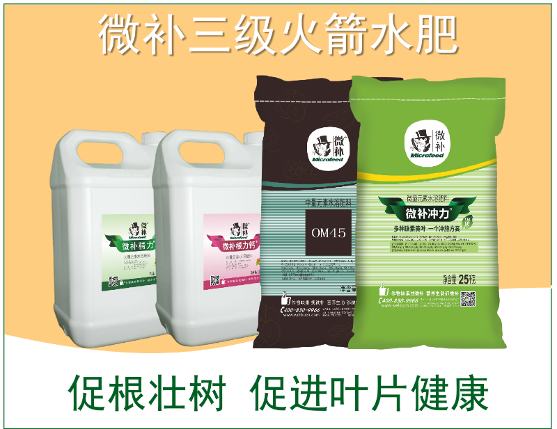 圖片2 圖片2