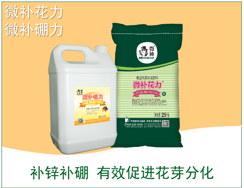 圖片8 圖片8