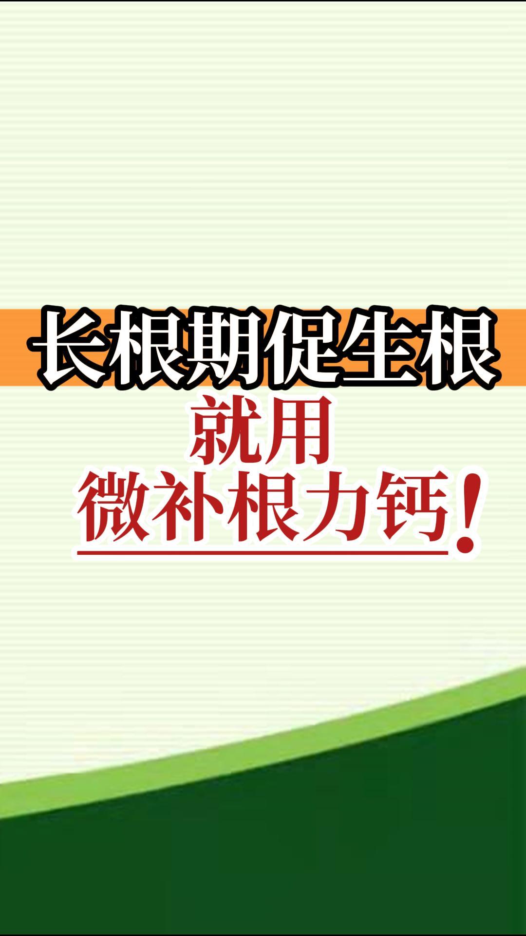 長(cháng)根期促<i style='color:red'>生根</i>就用微補根力鈣！