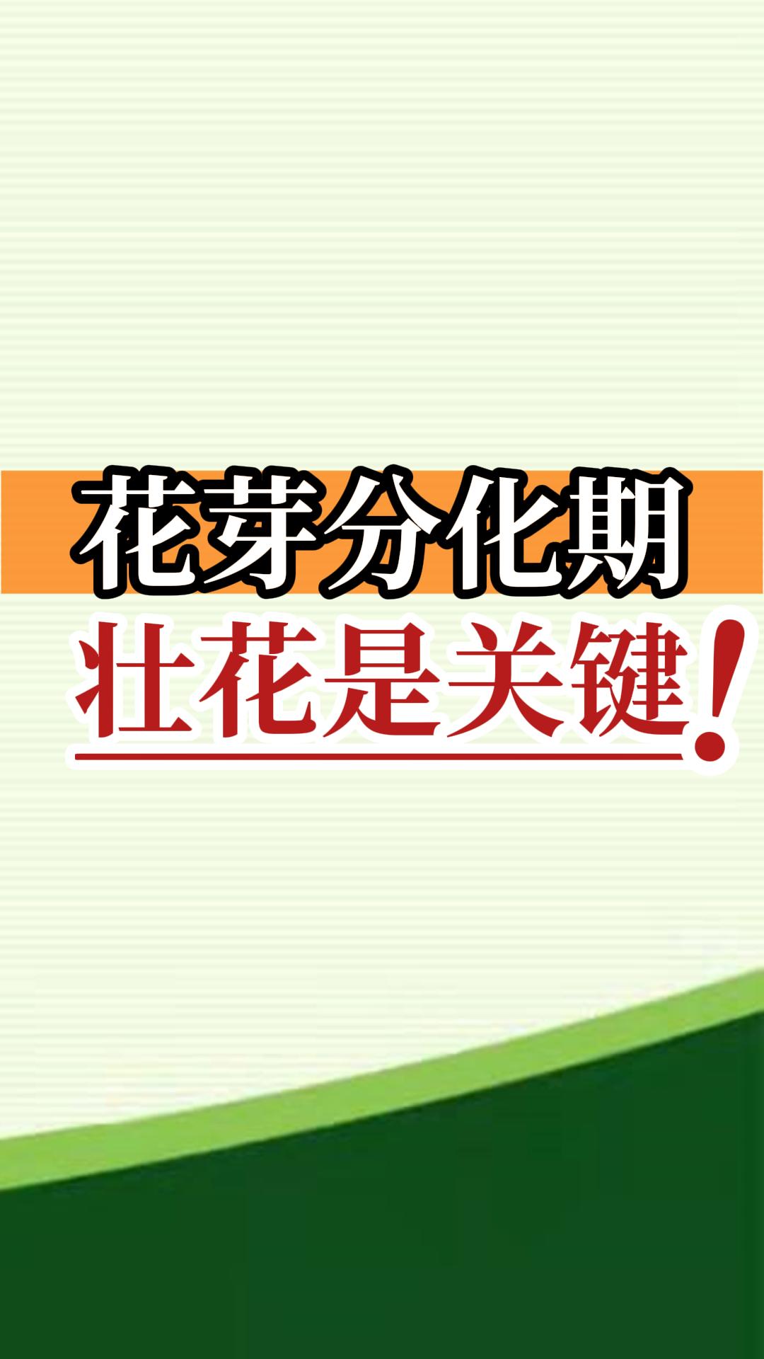 花芽分化期 壯花是關(guān)鍵