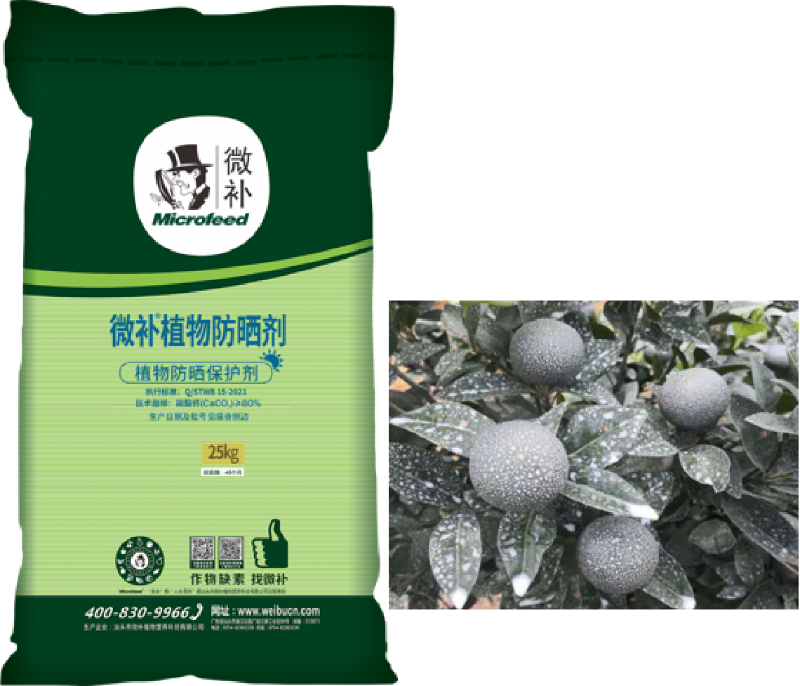圖片2 圖片2