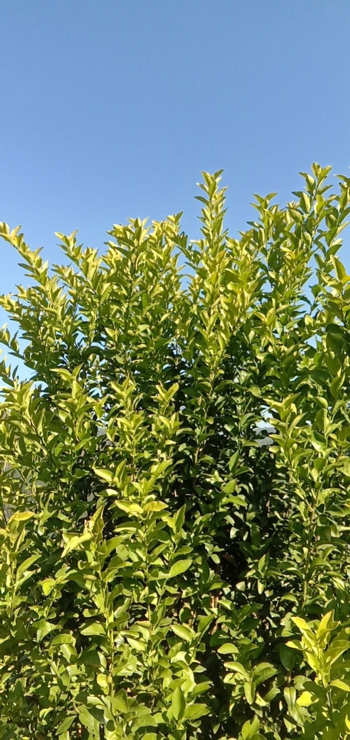 3 3