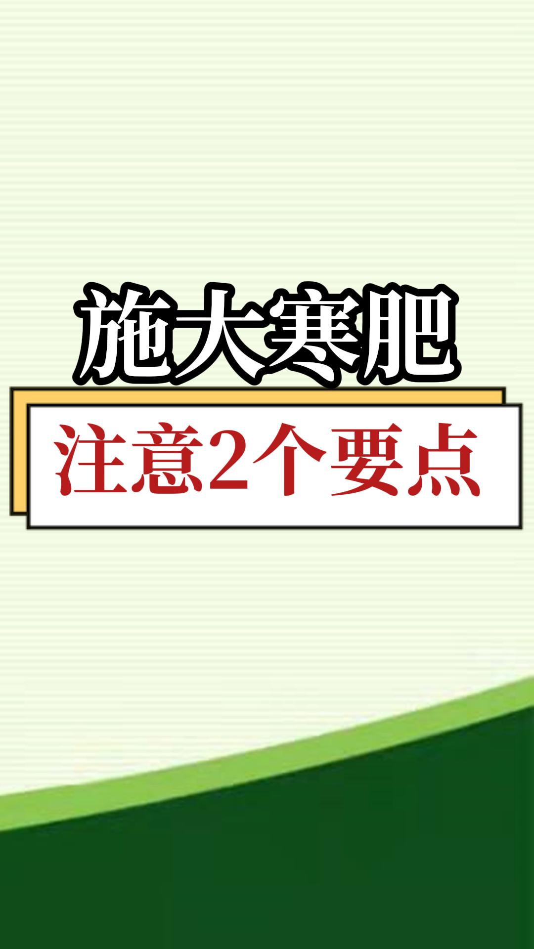 施大寒肥，注意2個要點