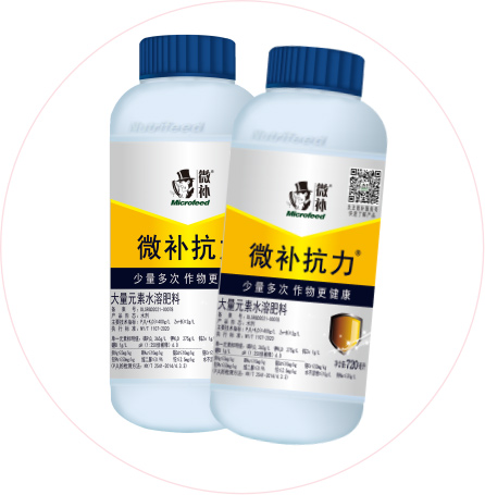 如何做好冬季清園，減少來(lái)年病蟲(chóng)害影響