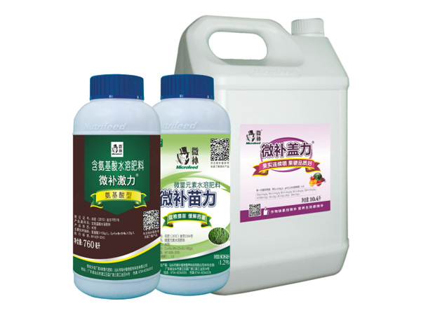 讓作物安全過(guò)冬的實(shí)用小妙招，速看
