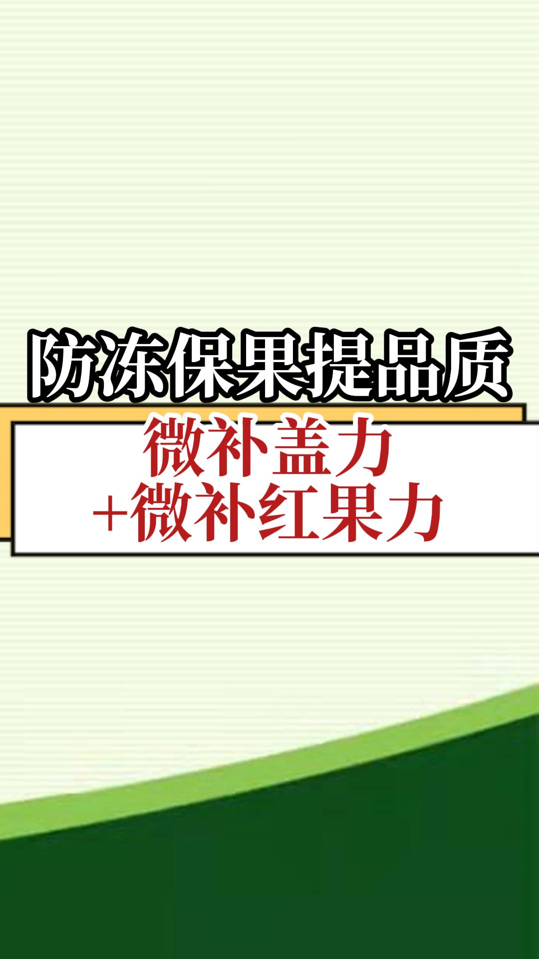 防凍保果提品質(zhì) 微補蓋力+微補紅果力
