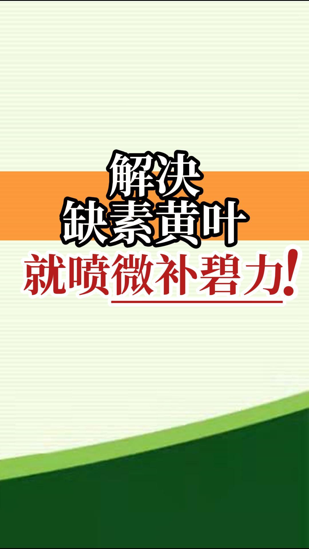 解決<i style='color:red'>缺素</i>黃葉就噴微補碧力！