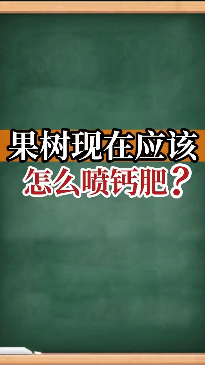 果樹(shù)現在應該怎么噴鈣肥？