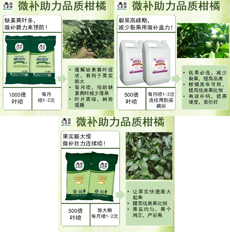 圖片1 圖片1