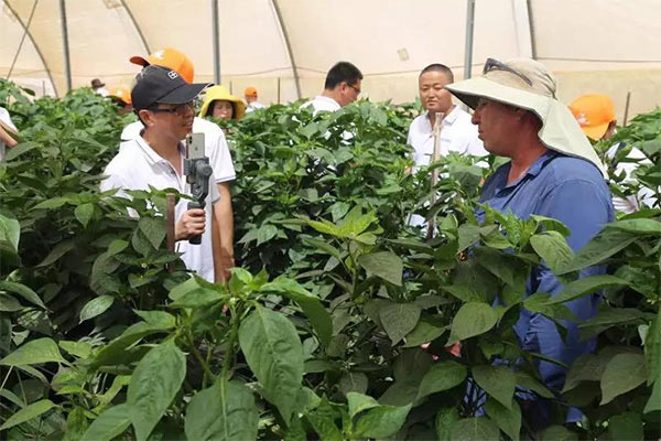 深度思考：我們到底應該向以色列農業(yè)學(xué)習什么？
